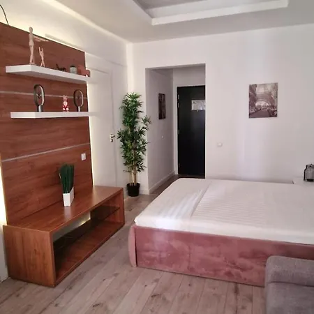 Carol - Vibes Apartament