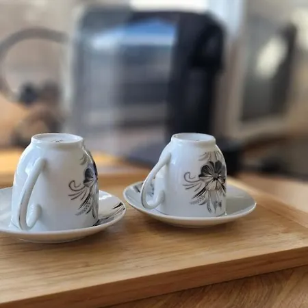 Carol - Vibes Bukareszt