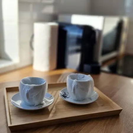 Carol - Vibes Bukareszt