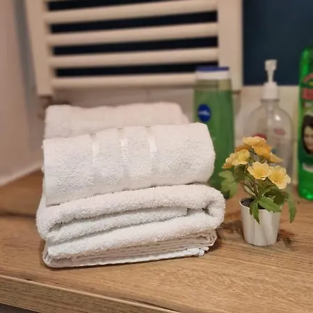 Carol - Vibes Apartament Bukareszt