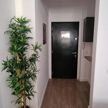 Carol - Vibes Bukareszt