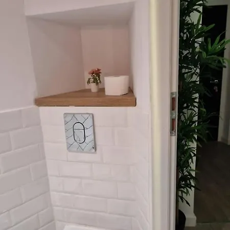 Carol - Vibes * Bukareszt