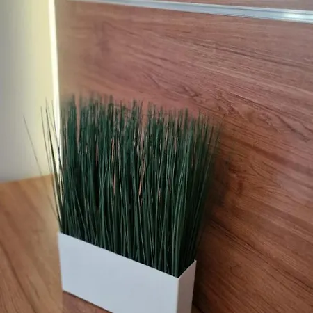 Apartament Carol - Vibes *