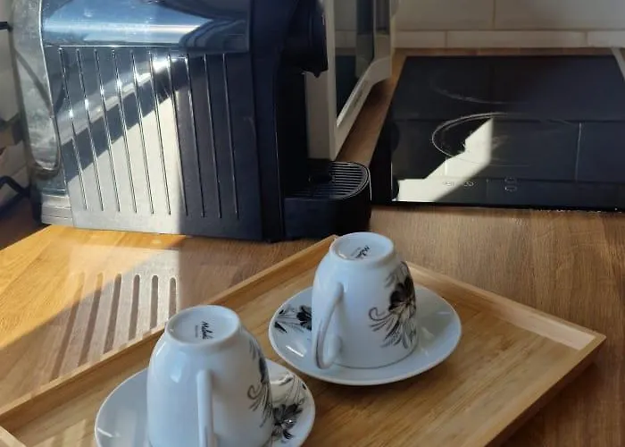 Carol - Vibes Apartament *