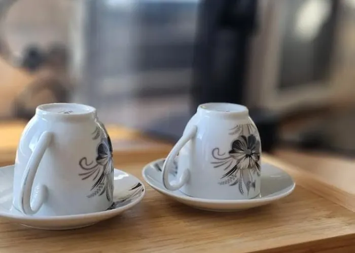 Carol - Vibes ブカレスト