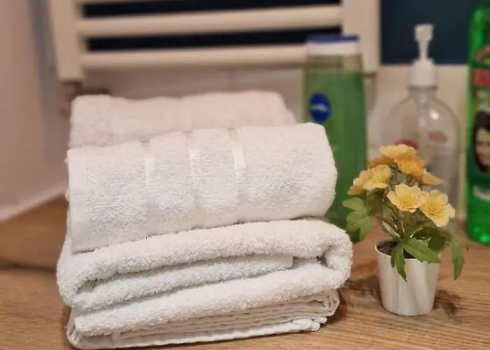 Carol - Vibes Apartament Bucureşti