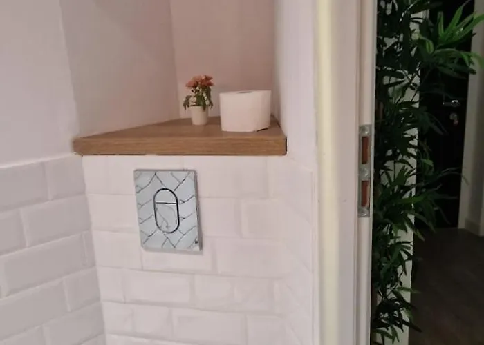 Carol - Vibes * Bucureşti