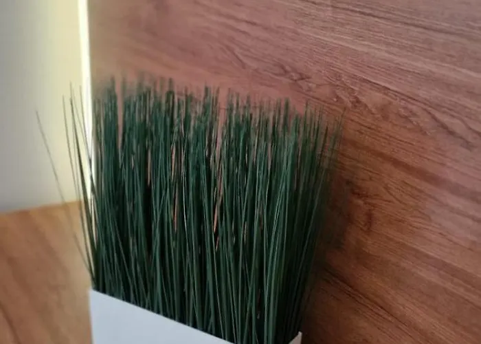 Apartament Carol - Vibes *