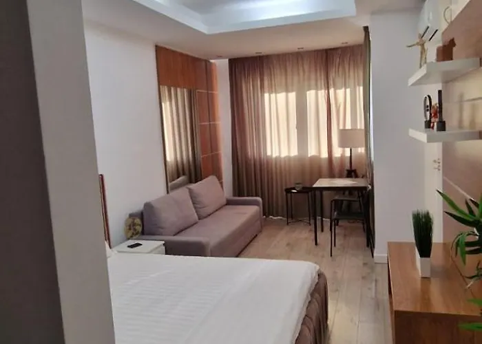 Carol - Vibes ブカレスト