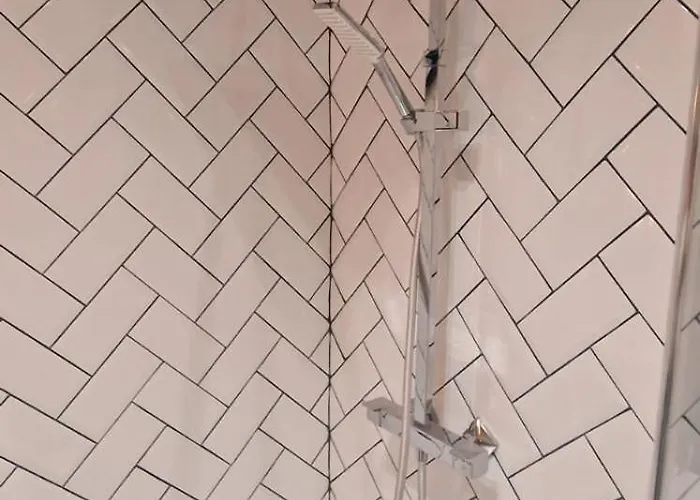 Carol - Vibes * ブカレスト