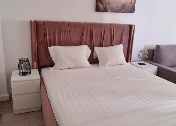 Carol - Vibes アパート *